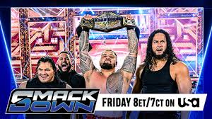 PAAG Cosplayer Kim's raw video - every angle exposed