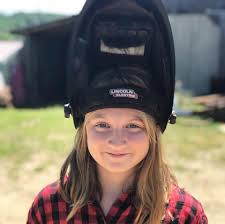 Butterflies And dragonflies