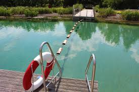 Wellness Fur Frauen Ticket Online Kaufen Mit Fruchtigem Vitalshake Inkl