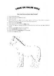 It's a common misperception that ho. How Much Do You Know About Horses True Or False Quiz Esl Worksheet By Maria C