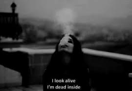 You can select several and have them in all your screens like desktop, phone, tablet, etc. I Look Alive I M Dead Inside Alive Meme On Me Me
