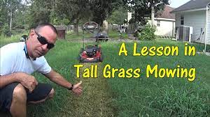 When to fertilize depends on what kind of grass you have. Pt 1 How To Cut Tall Grass With Cheap Lawn Mower Mowing Tall Overgrown Grass Youtube