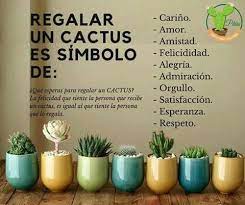 La fecha idónea es cuando sientes que es el momento de fortalecer lazos, de mostrar afecto o para poner fin a algún desacuerdo. Pin De Yarineth Abrego En Cactus Regalar Plantas Frases De Cactus Jardineria Y Plantas