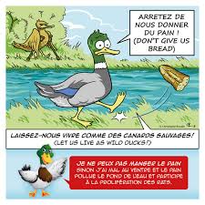 La Sorgue Une Riviere A Preserver Ccpsmv Communaute De Communes Pays Des Sorgues Monts De Vaucluse