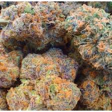 Legit online dispensary shipping worldwide, colorado dispensary shipping worldwide, 420 mail order usa, 420 mail order worldwide, canada dispensary worldwide shipping. Buy Fruity Pebbles Online Buy Weed Online Alpha Cannabis Shop