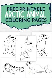 Download this adorable dog printable to delight your child. Free Printable Arctic Animal Coloring Pages Simple Mom Project