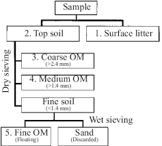 Flow Chart Showing Soil Litter And Organic Matter Om