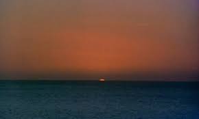 Image result for Vert 1986 UMM