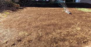 Set your mower's blade at two inches if you are planning to do regular overseeding. Overseeding Bermudagrass Lawns With Annual Ryegrass Cooperative Extension The University Of Arizona