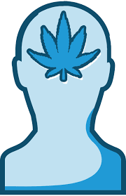 To find out more, consult an attorney and/or read the following links: Tips For Talking With Youth About Marijuana Cdphe