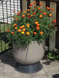 Recycled Pool Sand Filter Into A Flower Pot Sand Filter For Pool Flower Pots Pool Sand