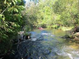 All rooms have lake views and there is a large deck for outside entertaining. Torch Lake Homes For Sale Torch Lake Waterfront Properties Kathy Wittbrodt Realtor