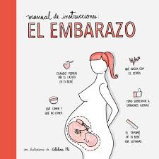 El embarazo detallado mes a mes y semana a semana: Manual De Instrucciones El Embarazo Con Ilustraciones De Catalina Ple Pequenos Libros Spanish Edition Aa Vv 9788408177548 Amazon Com Books