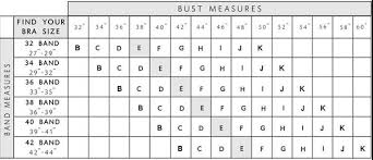Let's do another bra cup size comparison: What Is The Difference Between B C And D Bra Sizes Quora