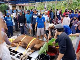 Kumpulan naskah khutbah idul adha singkat terbaru 2021. Idul Adha Mesjid Al Iman Tiban Mc Dermott Sembelih 23 Ekor Hewan Kurban Dibagikan Untuk Ratusan Warga Muslim Dan Non Muslim Probatam