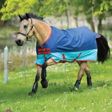 116 cm gekört beim pferdestammbuch sh/hh v: Welche Horseware Decken Gibt Es Pferdedecken Blog