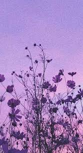 We did not find results for: Asthetik Iphone Tapete Aesthetic Iphone Wallpaper Aesthetic Iphone Wallpaper Asthetische Lavanda Estetica Estetica Viola Sfondi