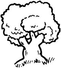 Yellow bells, yellow trumpet tree (tecoma stans), rizal avenue, arevalo, iloilo city, philippines. Png Clipart Clip Art Tree Coloring Pag