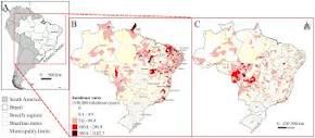 Zika, chikungunya and co-occurrence in Brazil: space-time clusters ...