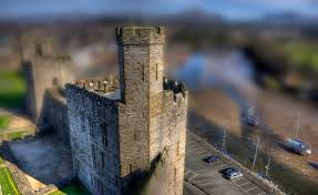 Image result for tilt focus