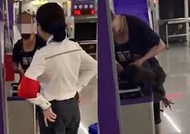 Chinese woman killing a goat. Woman In China Slaughters Chicken After She Was Stopped From Boarding Train With It China News Asiaone