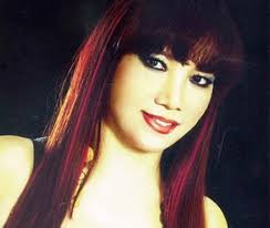 Phóng viên bịa đặt việc Bảo Yến miệt thị Hồ Ngọc Hà, Đàm Vĩnh Hưng'