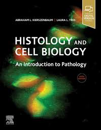 The cell is focused on the molecular biology of cells as a unifying theme, with specialized topics discussed throughout the book as examples of more general principles. Ebook Histology And Cell Biology An Introduction To Von Abraham L Kierszenbaum Isbn 978 0 323 68378 4 Sofort Download Kaufen Lehmanns De