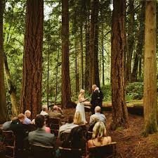 Washington Forest Elopement The Video Is Probably The Most Beautiful Things I Ve Seen Weddinglocat Forest Wedding Forest Theme Wedding Small Intimate Wedding