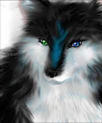 Touya fujii adalah mahasiswa normal dengan kekhawatiran normal — yaitu menyeimbangkan kelasnya dan pekerjaannya yang ia lakukan untuk. Awesome Wolf Wolf Spirit Animal Wolf With Blue Eyes Anime Wolf