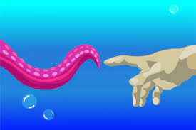 My octopus teacher is a 2020 netflix original documentary film directed by pippa ehrlich and james reed, which documents a year spent by filmmaker craig foster forging a relationship with a wild. My Octopus Teacher Is A Must Watch Documentary On Netflix Mill Valley News