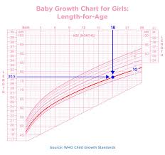 Check spelling or type a new query. The Tot Who Is Diminishing Situated The Augmentation Graphic Representation Average Height And Weight For 17 Month Old Girl