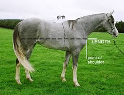 The weight of the metal will hold the string steady, while the handler eyes up the withers and marks the twinea magic marker will do the trick here. Working Out The Weight Of Your Horse Horse Training Husbandry Horsetalk Co Nz