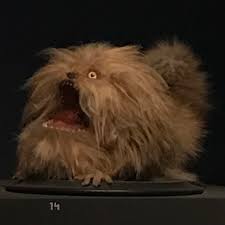 fizzgig on Tumblr