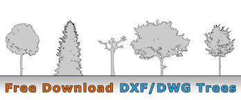 Free Tree Cad Drawing For Architecture (Dwg+Dxf Format)