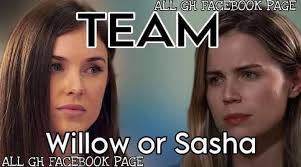 Team Sasha vs Team Willow