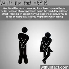 Wtf Fun Factss Wtf Fun Facts Fun Facts Funny Facts