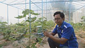 We did not find results for: Cara Pengunaan Baja Ab Twin Fertilizer Youtube