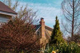 Maybe you would like to learn more about one of these? Rooftop Chimney Sweeps Linkedin