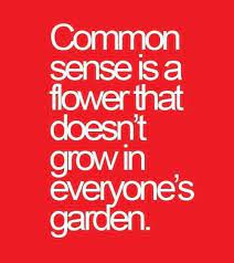 Pin By Purple Highness On Favorite Quotes Funny Quotes Sayings Common Sense Humor