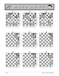 It is a game of skill and strategy and perseveran. Winning Chess Puzzles For Kids Jeff Coakley 9781895525113 Amazon Com Books