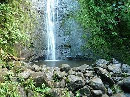 Hiking Manoa Falls Trail On Oahu Hawaii Com Hawaii Vacation Hawaii Vacation Packages Manoa Falls Oahu