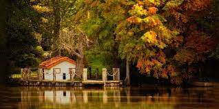 It is also home to over a hundred protected deer and a variety. Belgrad Ormani Hakkinda Merak Edilen 7 Sey Neredekal Com