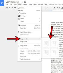 Afootnote provides additional information on the text it refers to. How To Add Page Numbers In Google Docs Solve Your Tech