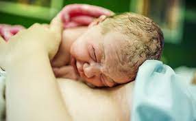The Benefits Of Skin To Skin Contact After Birth Bub Hub