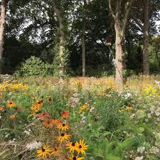 Pin On Mcgeachy Garden Design Projects