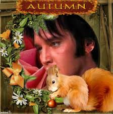 Good Night Everyone Happy New year's Stay safe. 🎼🎸❤️🙋‍♂️