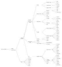 indo aryan linguistic tree