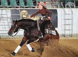Maybe you would like to learn more about one of these? Reiten Schumi Tochter Startet Bei Reining Masters Sport Schwarzwalder Bote