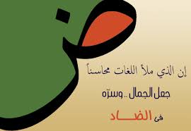 حماية اللغة العربية خطوة أخرى لتمكين الضاد