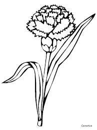 Bluebonnet flowers coloring pages printable coloring page image for kids of all ages. Bluebonnet Coloring Page Coloring Home